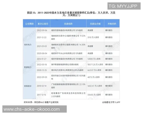 重庆排球队挑战赛点评团队协作表现分析与启示